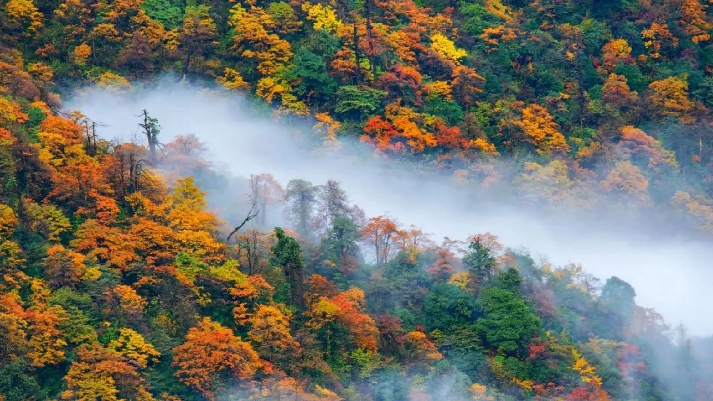 超级团建SuperTB www.tbsuper.com