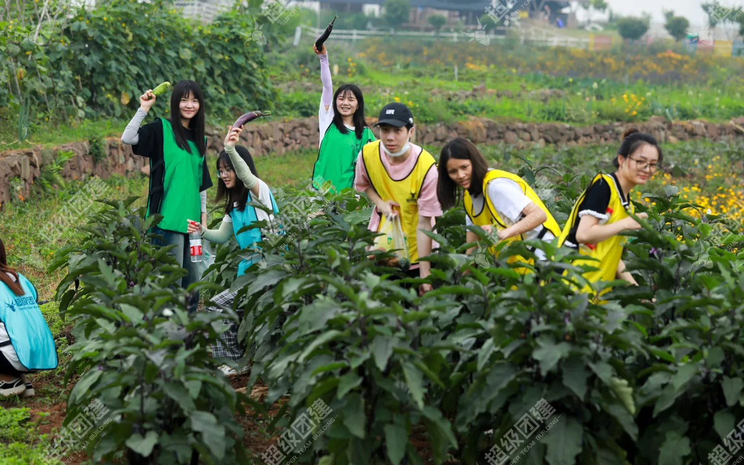 超级团建SuperTB www.tbsuper.com