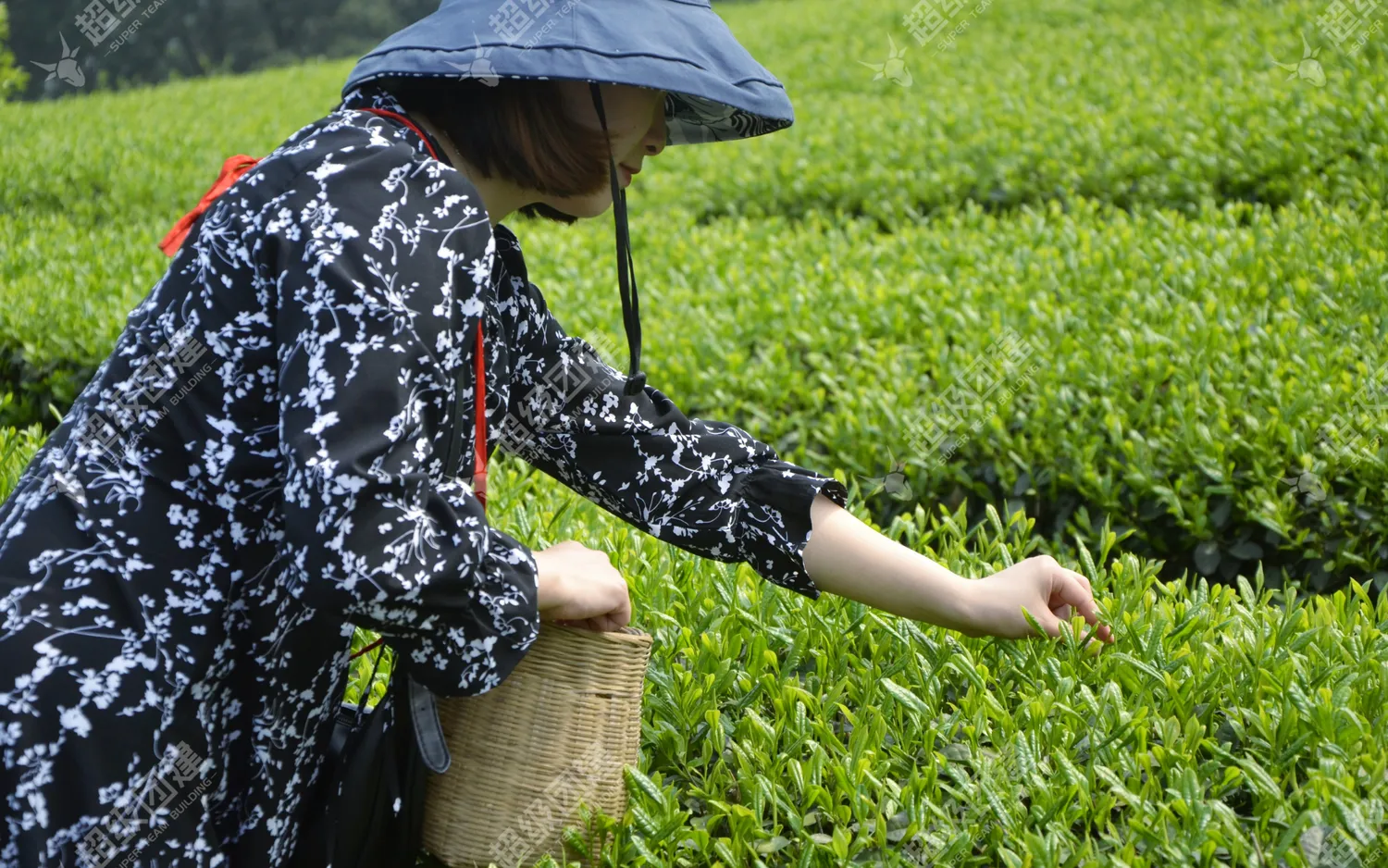 超级团建SuperTB www.tbsuper.com