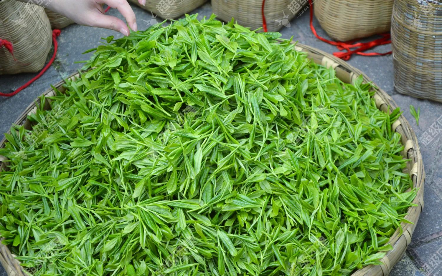 超级团建SuperTB www.tbsuper.com