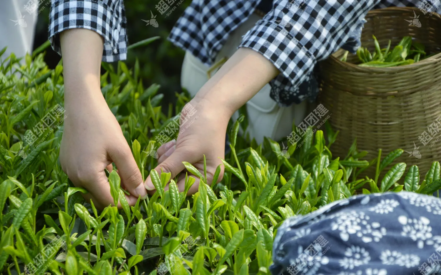 超级团建SuperTB www.tbsuper.com