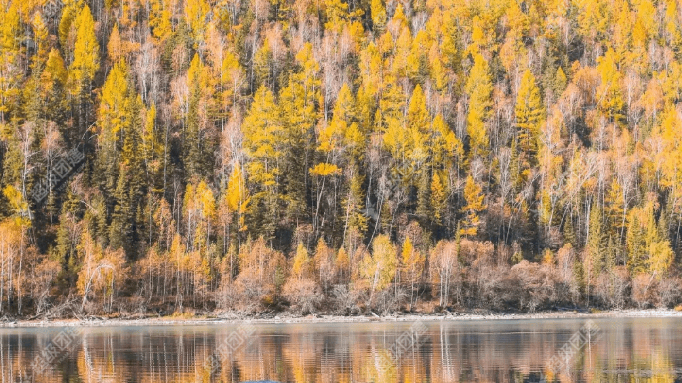 超级团建SuperTB www.tbsuper.com