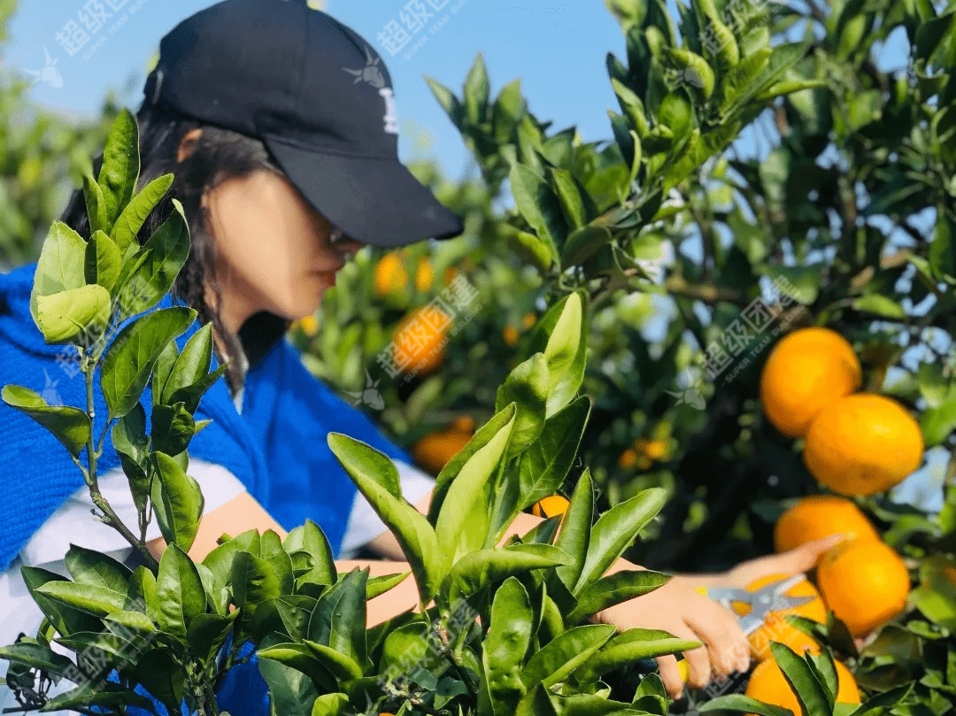 超级团建SuperTB www.tbsuper.com