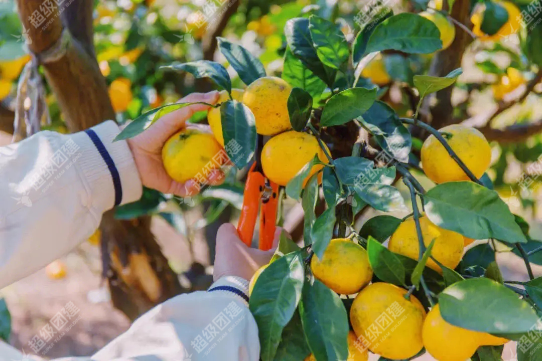 超级团建SuperTB www.tbsuper.com