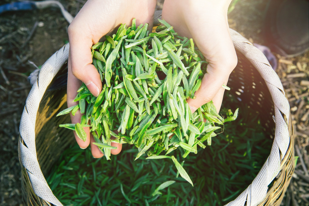 超级团建SuperTB www.tbsuper.com