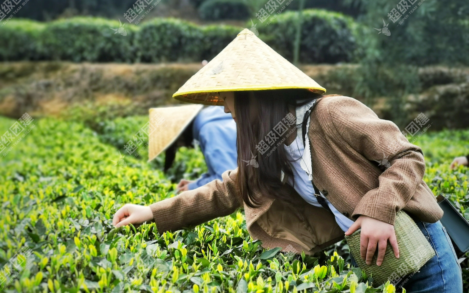 超级团建SuperTB www.tbsuper.com