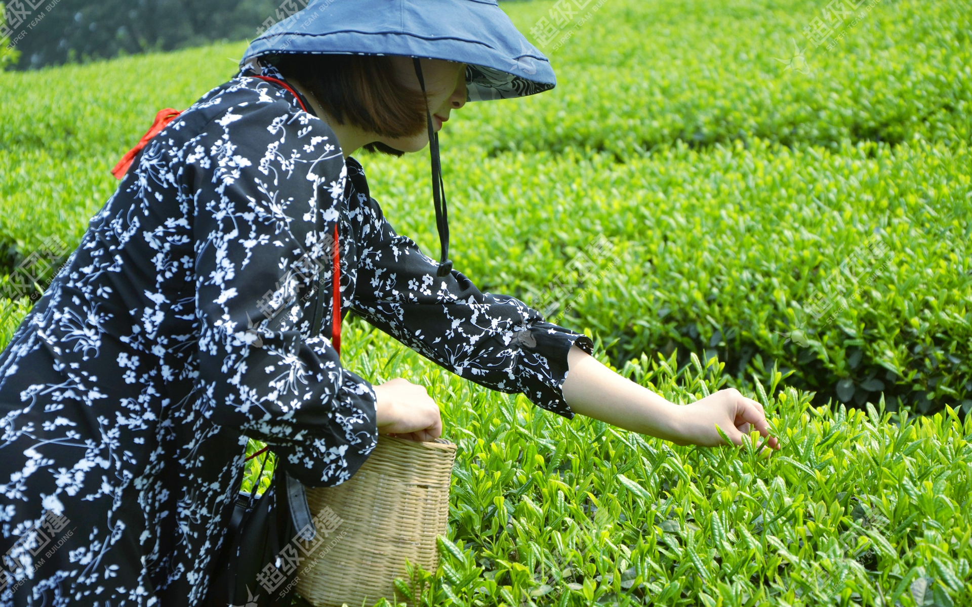 超级团建SuperTB www.tbsuper.com