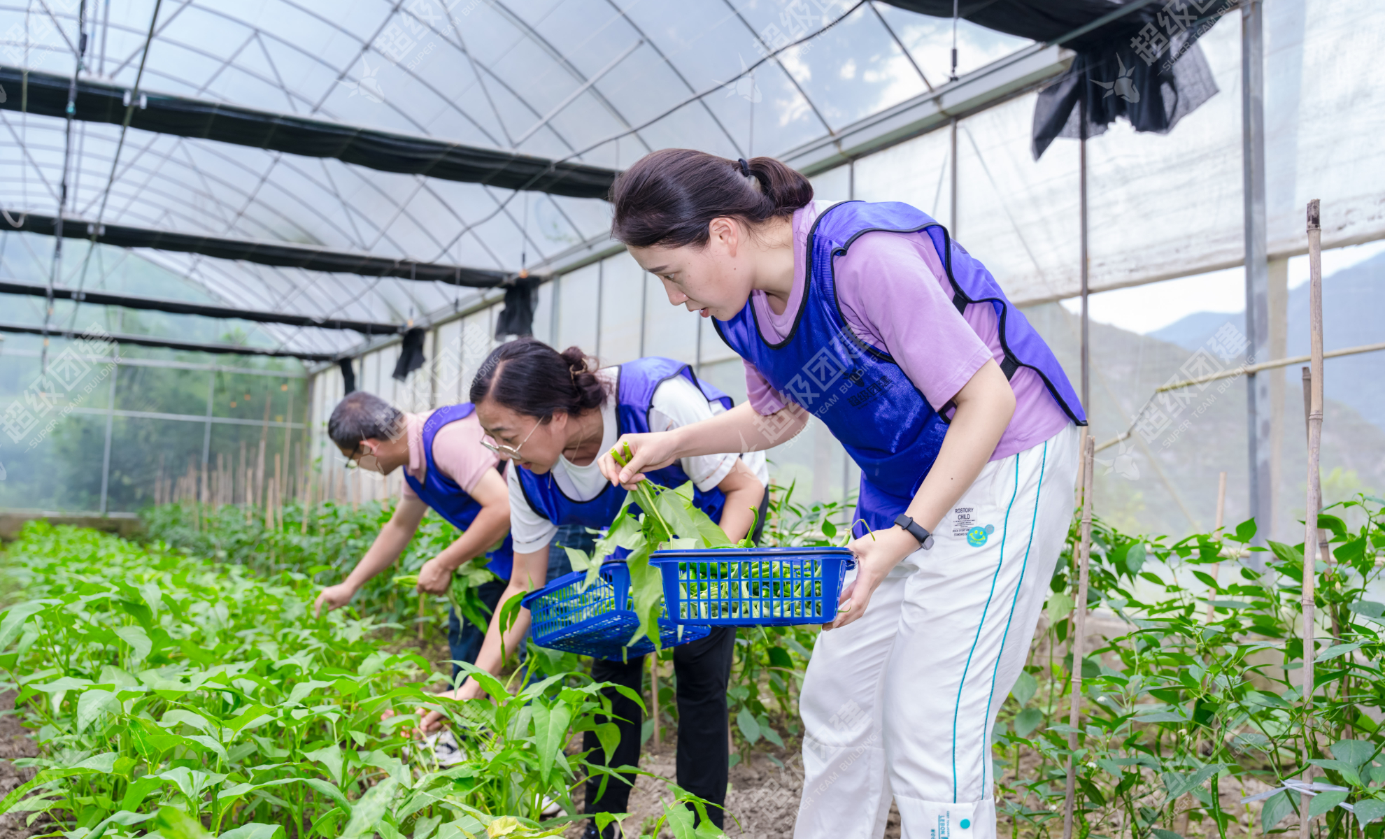 超级团建SuperTB www.tbsuper.com