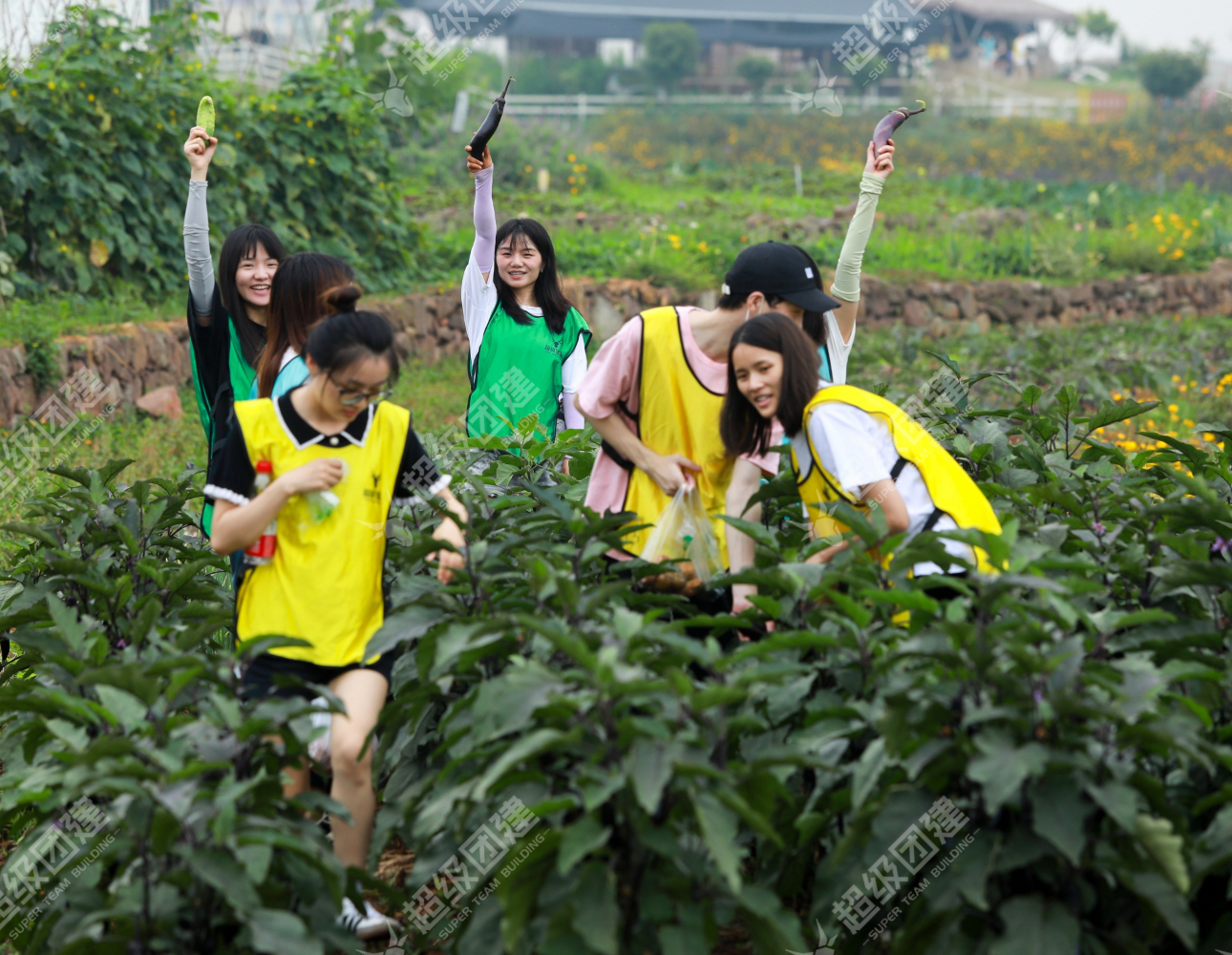 超级团建SuperTB www.tbsuper.com