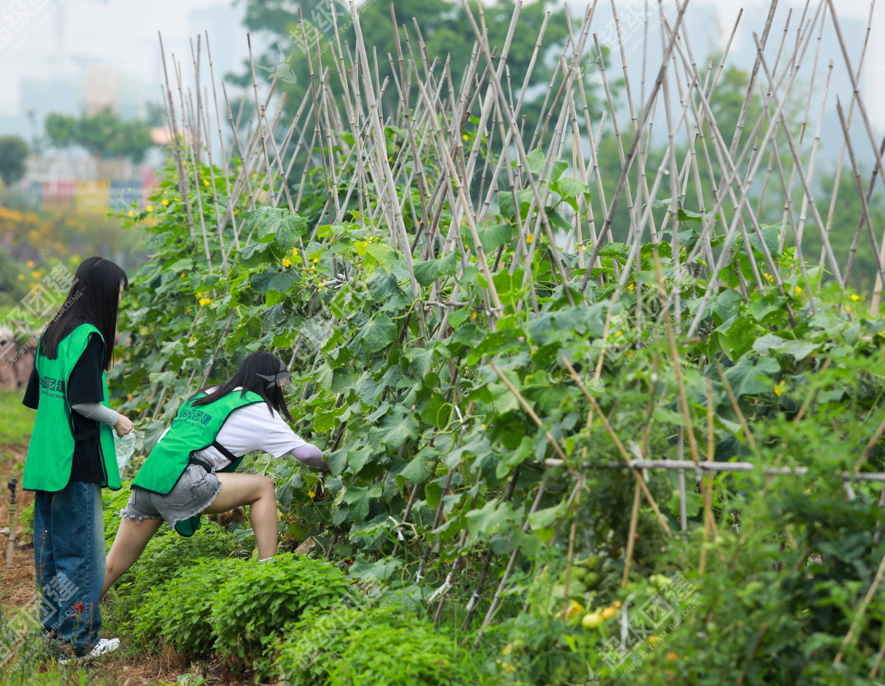 超级团建SuperTB www.tbsuper.com