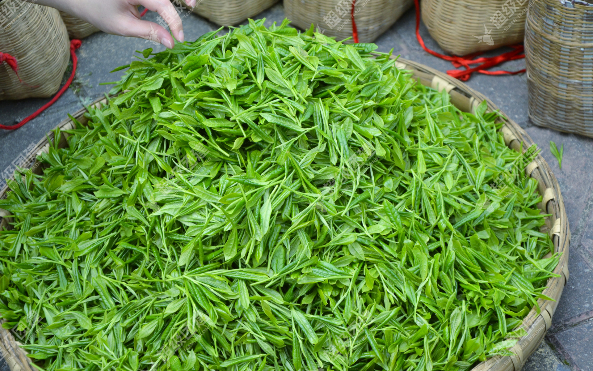 超级团建SuperTB www.tbsuper.com