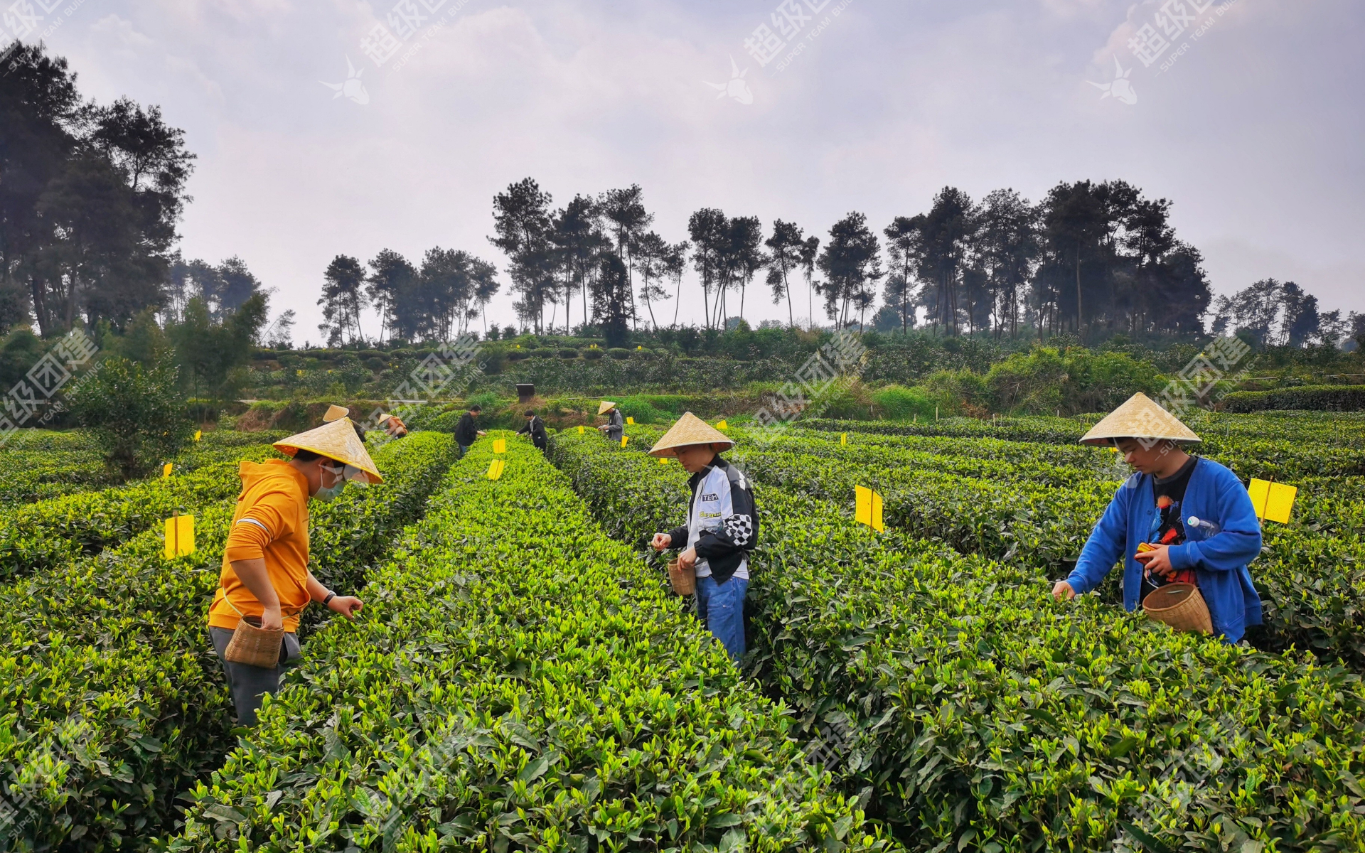 超级团建SuperTB www.tbsuper.com